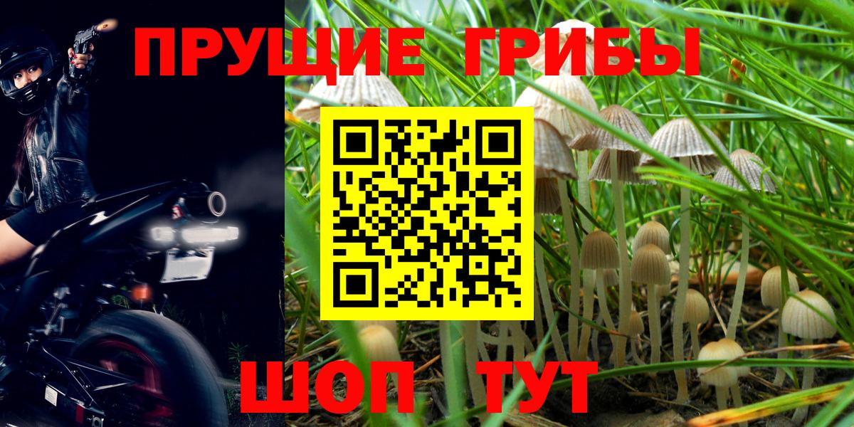 Галлюциногенные грибы MAGIC MUSHROOMS  Вход с VPN  Кашира  Псилоцибиновые грибы Cubensis 